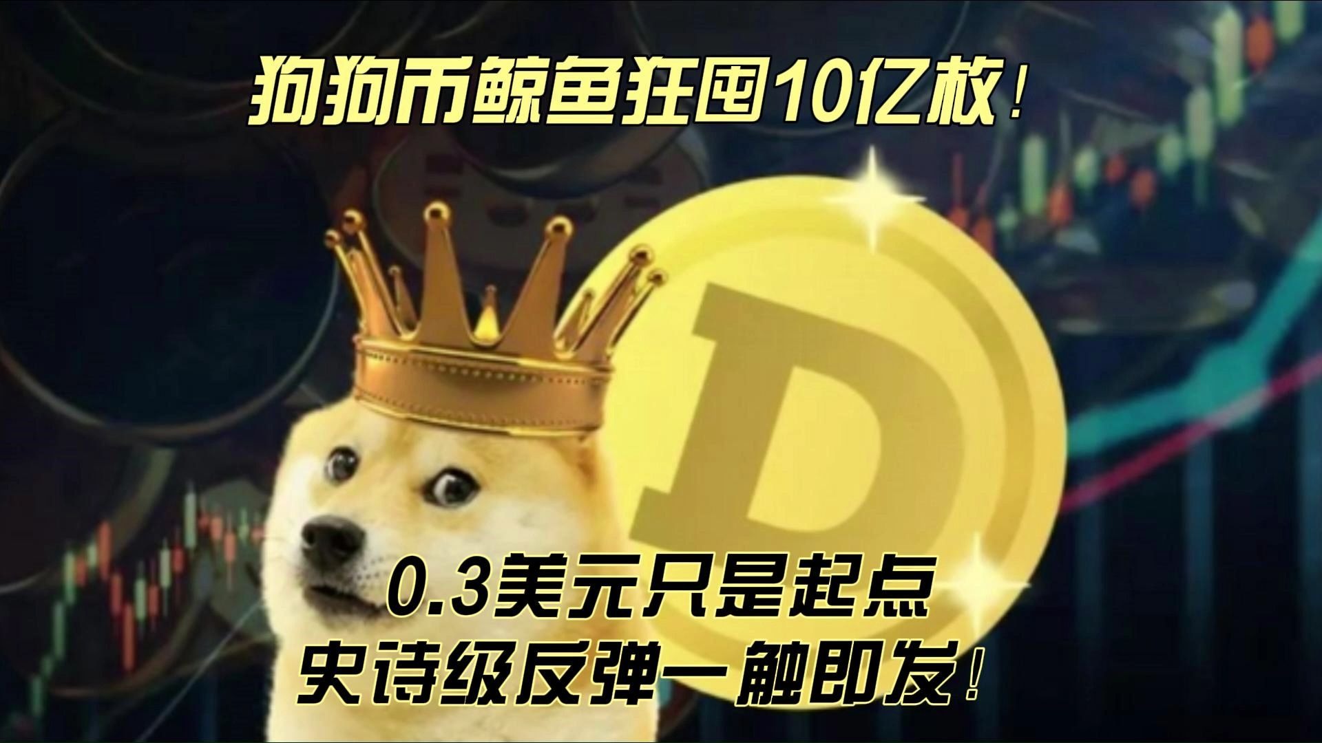 狗狗币创下年内新高，上扬幅高达314%，还能追吗？